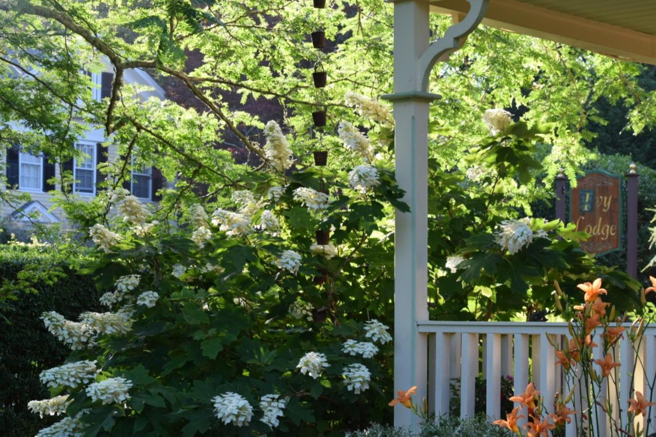 Ivy Lodge 뉴포트 외부 사진
