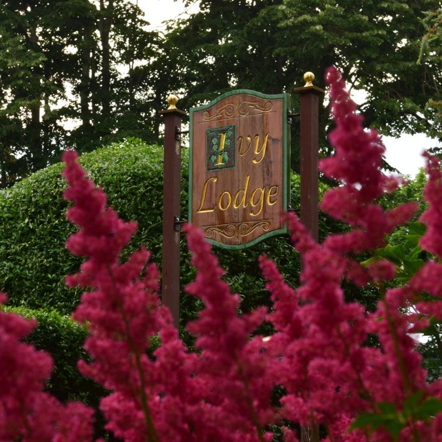 Ivy Lodge 뉴포트 외부 사진